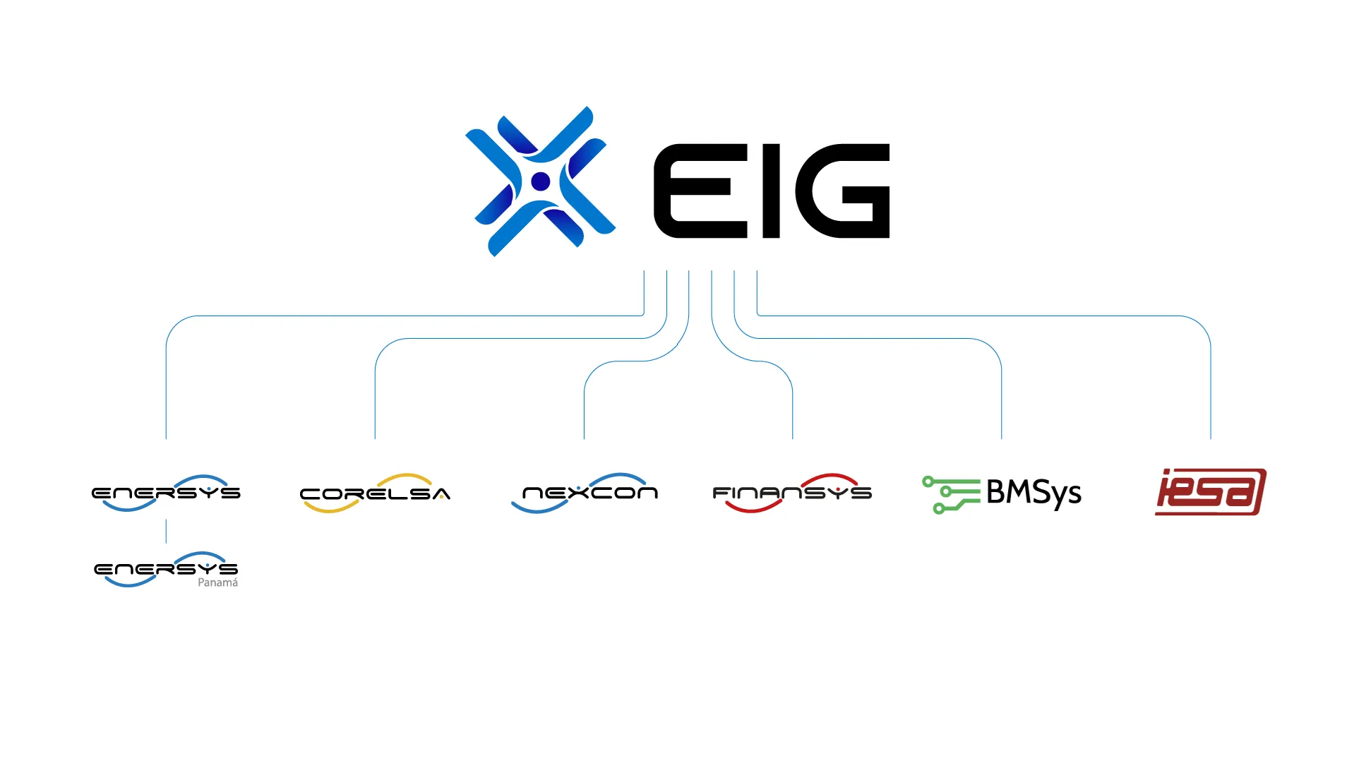 Estructura Grupo EIG